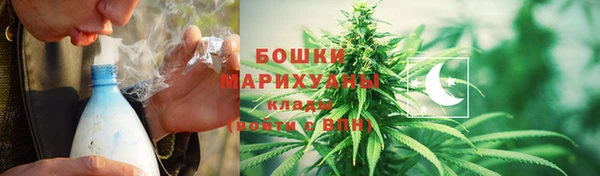 трава Арсеньев