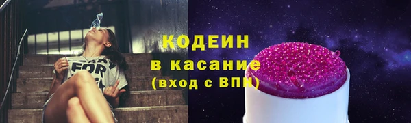 трава Арсеньев