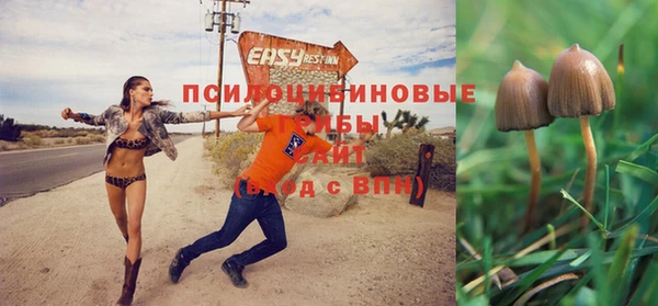 тгк Армянск