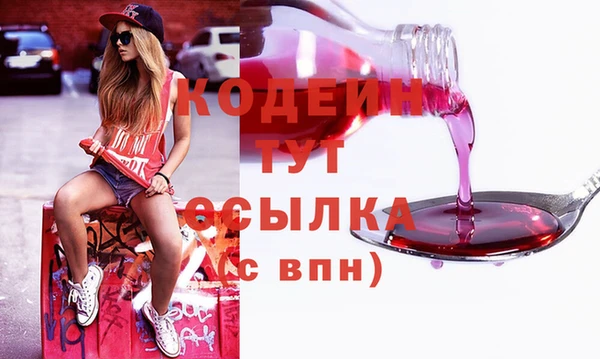 трава Арсеньев