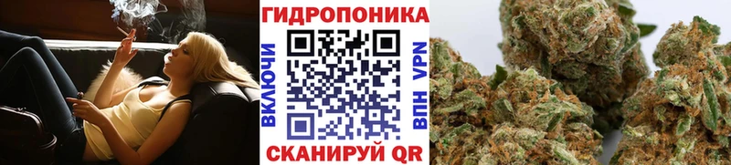 Купить закладки  Анжеро-Судженск  Бошки марихуана Amnesia 